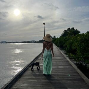 Michael Costello Mint Green Midi Dress